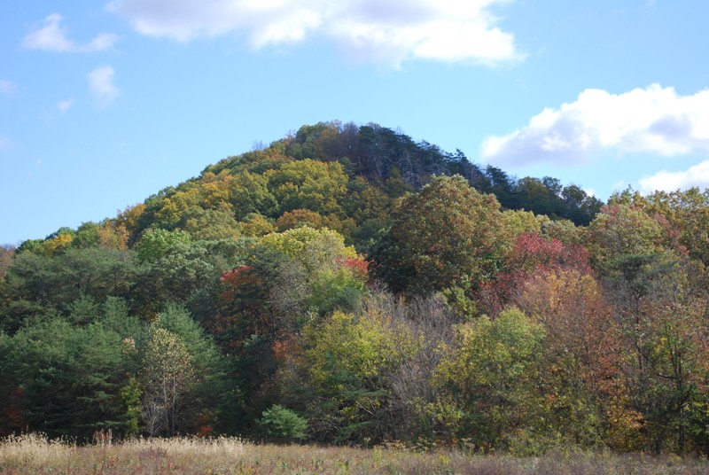 Marion County Wildlife Management Area and State Forest Kentucky